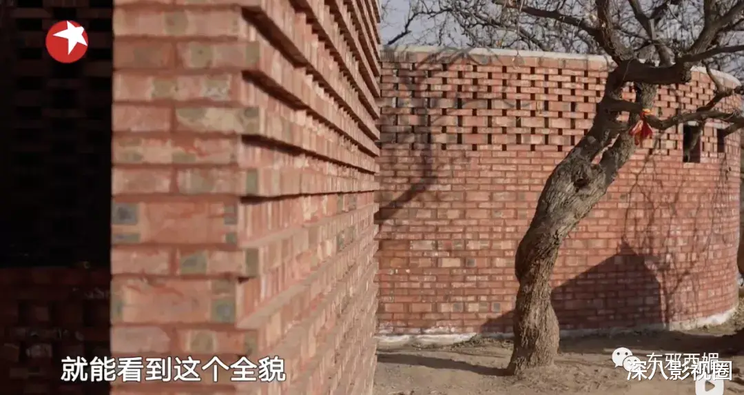 阳光城|被全网骂，到底冤不冤？