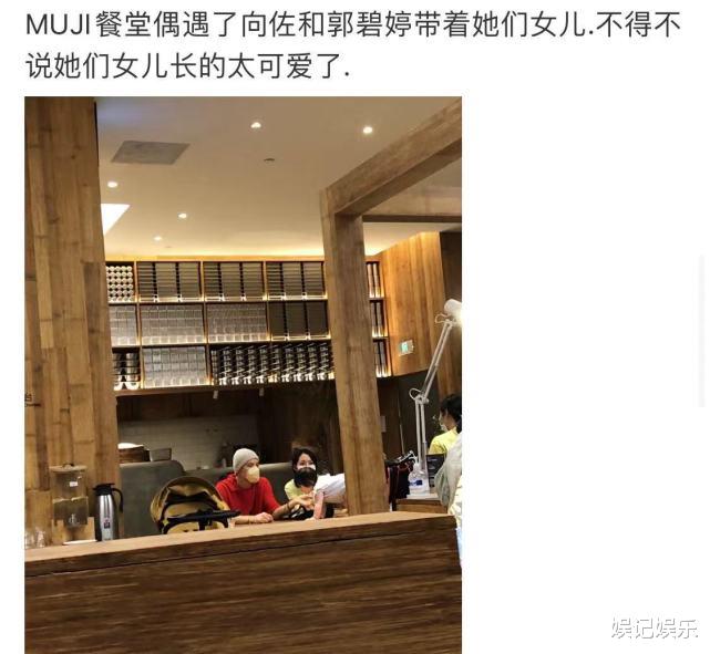 郭碧婷|向佐郭碧婷带女儿外出用餐，cora在餐桌上玩，脸蛋肉嘟嘟像洋娃娃