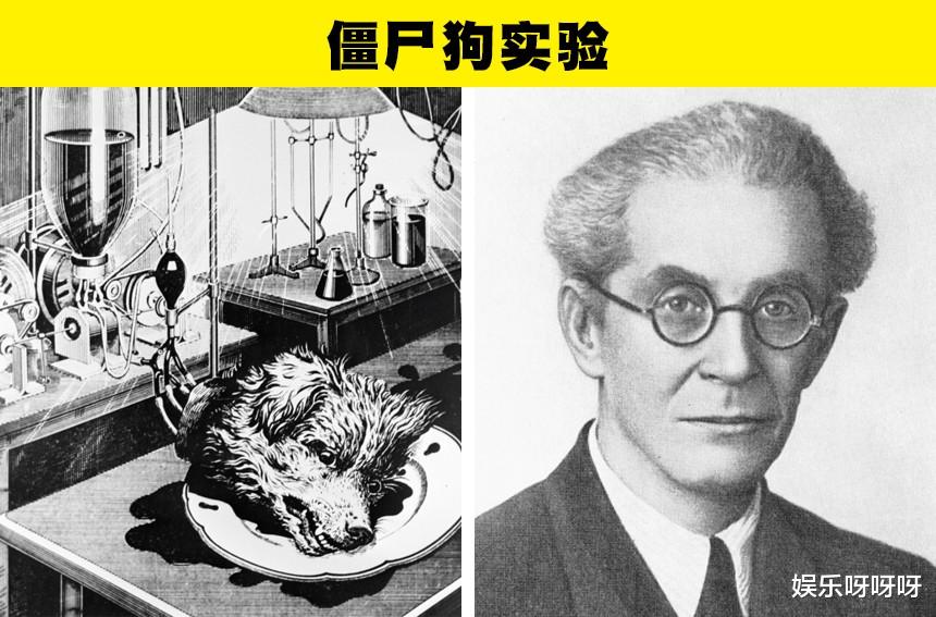 |在科学历史上，曾经进行过的7个太过于疯狂的实验