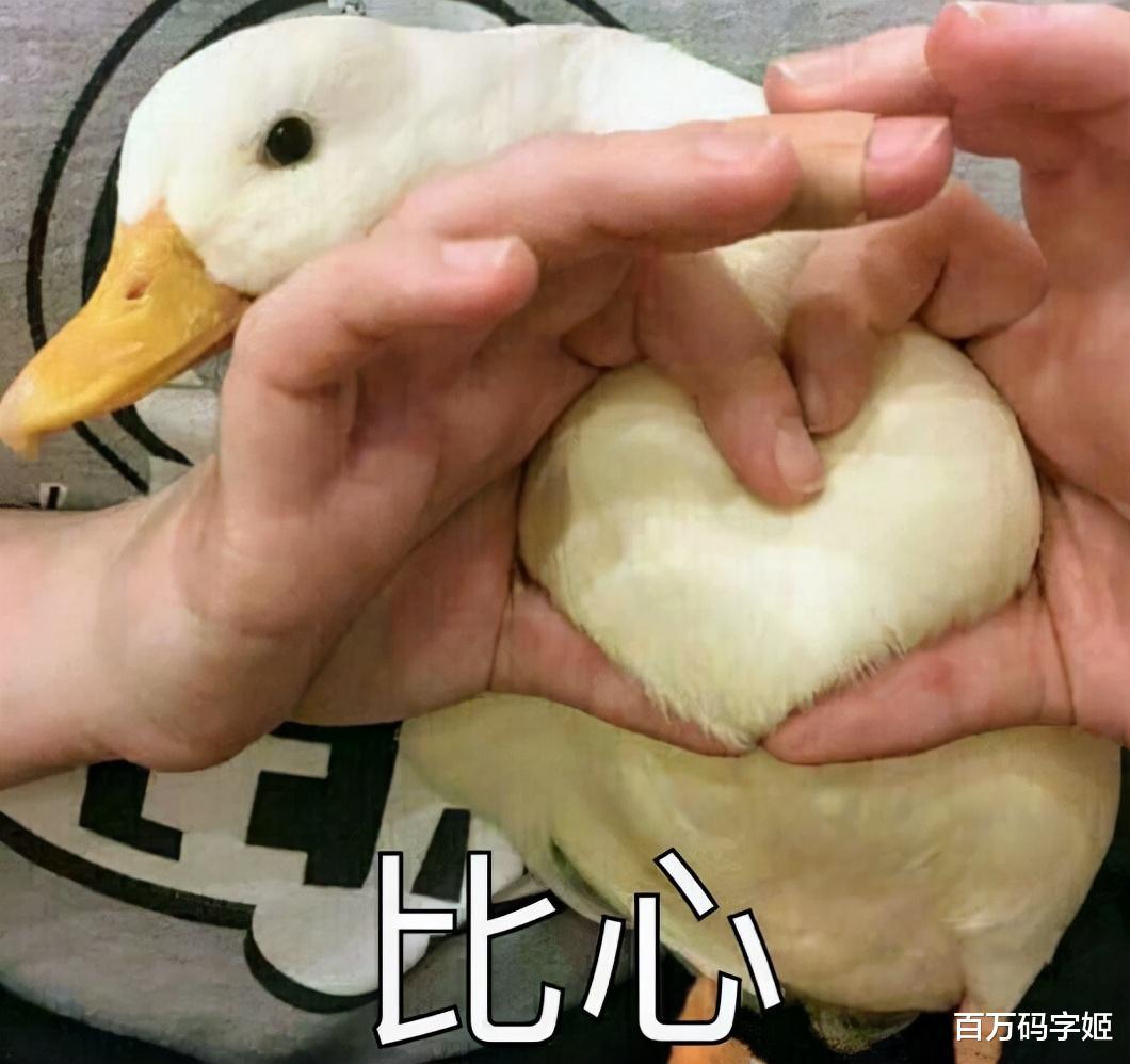 工地|我，大专桥梁专业，年薪15万，33岁单身，工作太忙太苦没时间恋爱