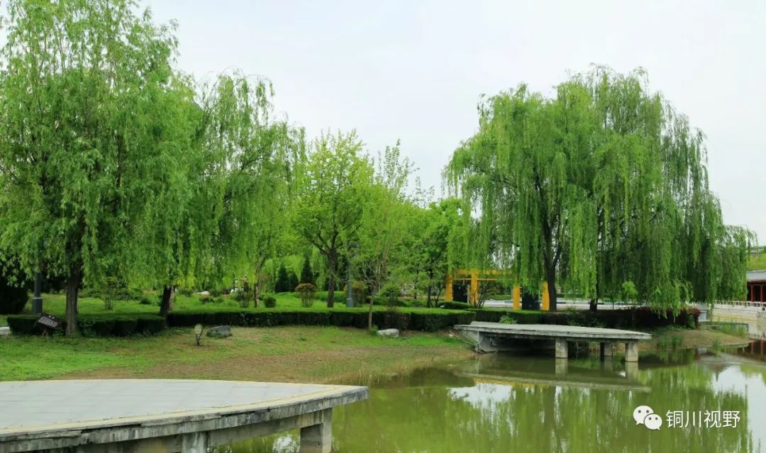 铜川周春辉 我们铜川摄影师镜头下的美景