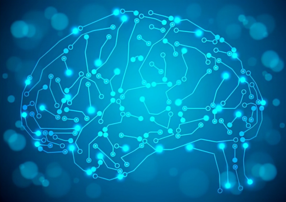 大脑|这 6 种增强大脑功能的食物，你经常吃吗？