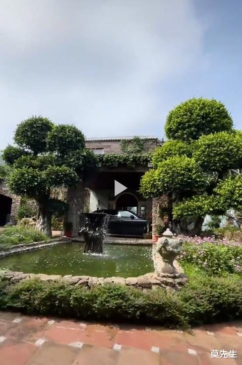 姚安娜|姚安娜深圳半山城堡曝光，价值5个亿，邻居是第一批富起来的人