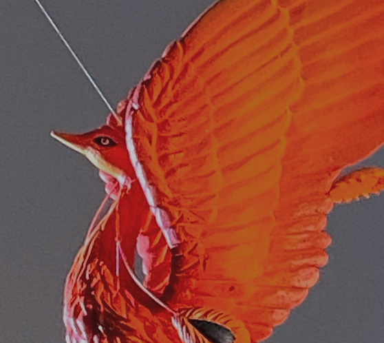 迪丽热巴|INT发文图案清秀独特惹争议？朱雀腾云起，少年破雾来