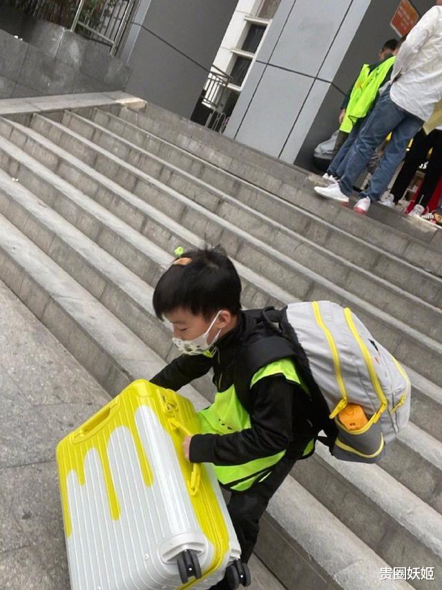 吴京|吴京儿子去露营,7岁吴所谓背背包提行李箱,独立壮实似小男子汉