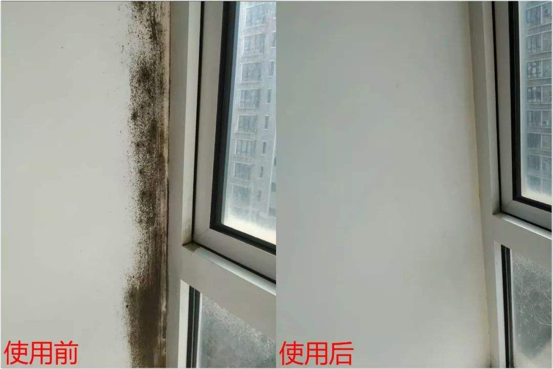 家居超人 为什么说日本家居“变态”？深入了解后，让我太佩服了
