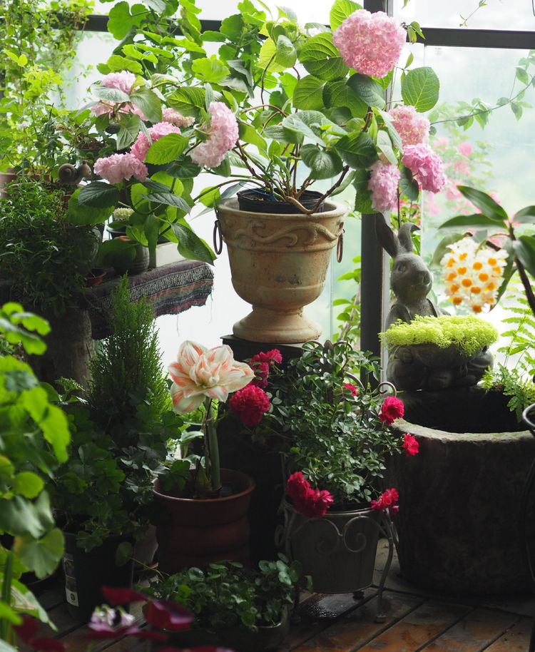 7㎡小阳台，改造成19楼的空中小花园，天天宅在家不想出门了