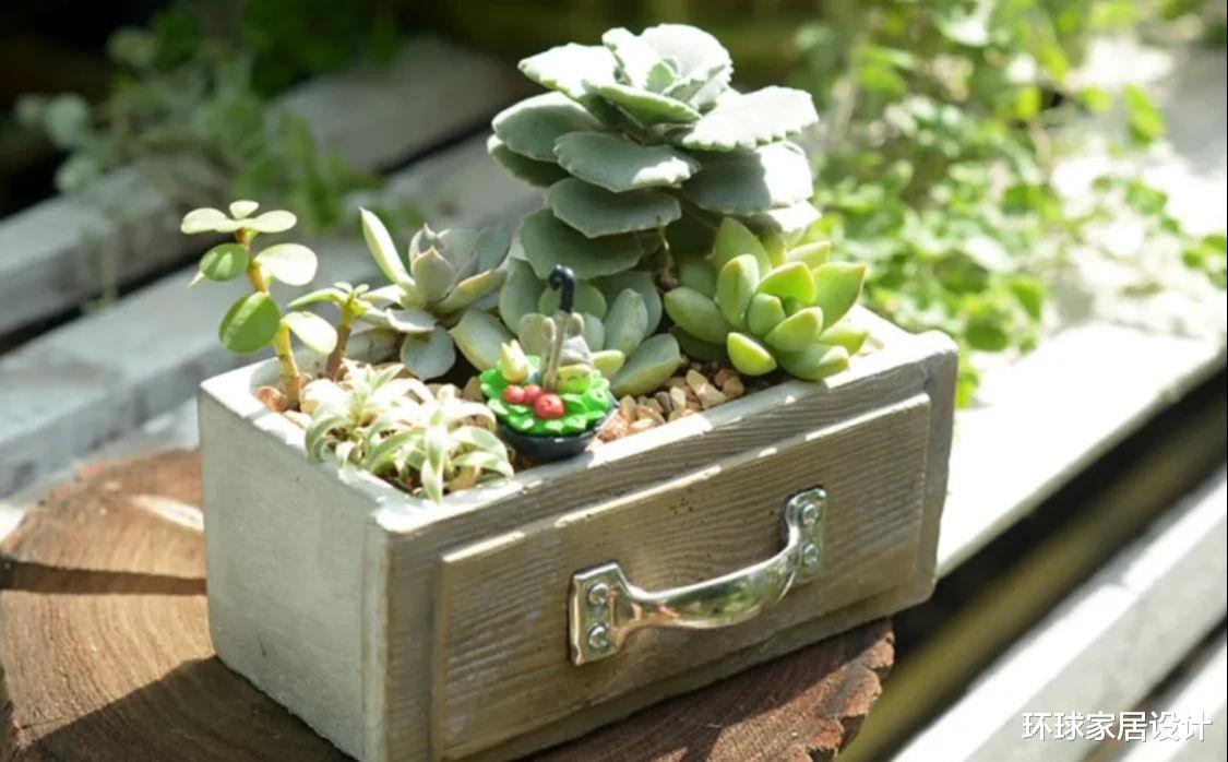 |日子过久了才发现，有的东西没必要买贵的，实用就行