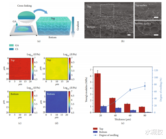  《Research》杜学敏/叶强：单组分天然多糖水凝胶膜的形状变形编辑
