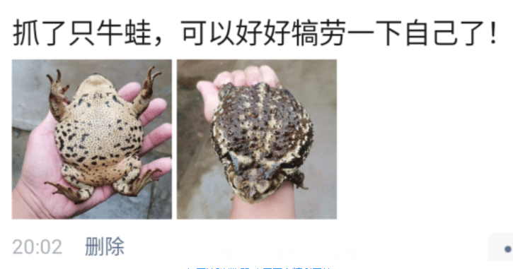 “有谁知道这个是什么吗?总感觉这个形状怪怪的哈!”