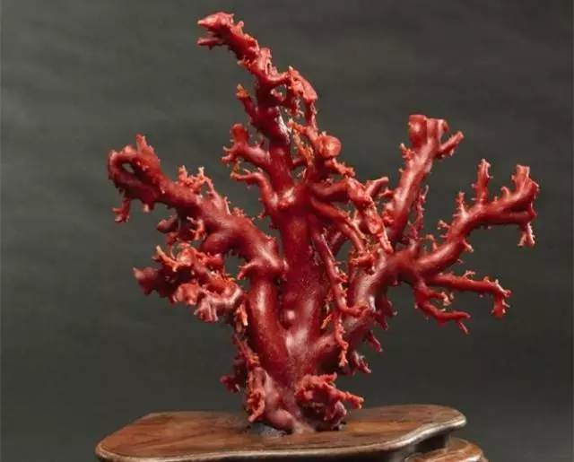 |南红与红珊瑚的区别