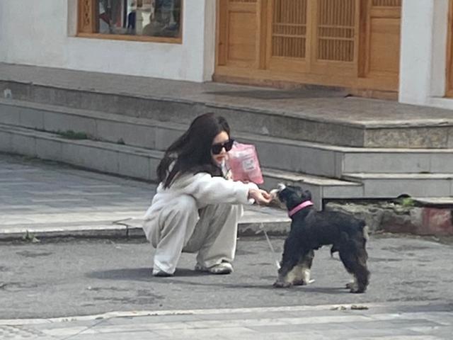 赵露思|赵露思小区遛狗，以为不会被认出没化妆，谁知被路人拍摄了生图