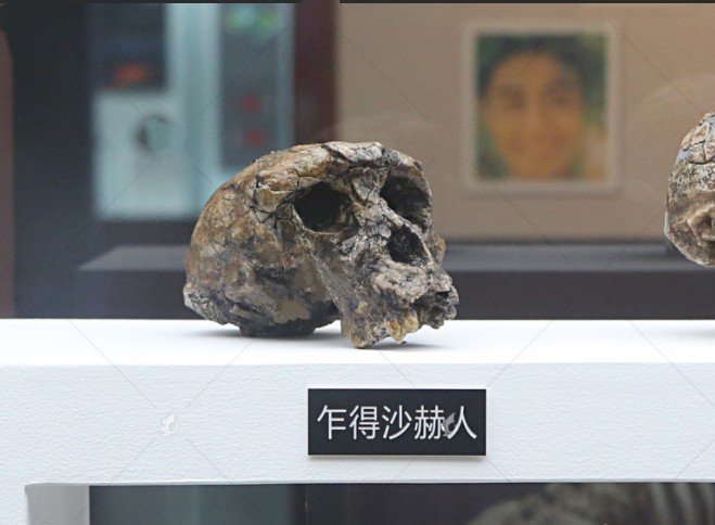 科学家 西伯利亚山洞发现新人种：人类进化史或被改写