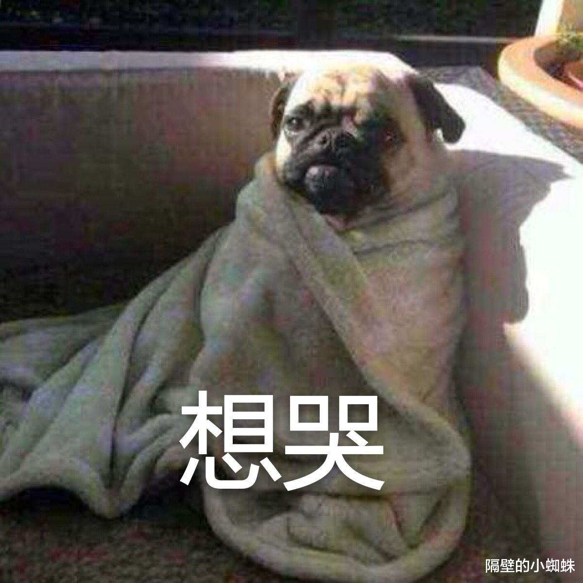 海贼王|官宣！路飞声优“田中真弓”表示：《海贼王》还能再坚持七至八年