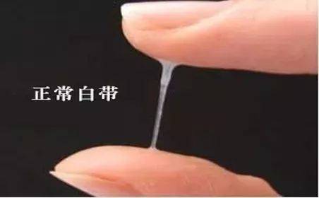 专注现代人养生解说|湿热体质：养生重在疏肝利胆，祛湿清热