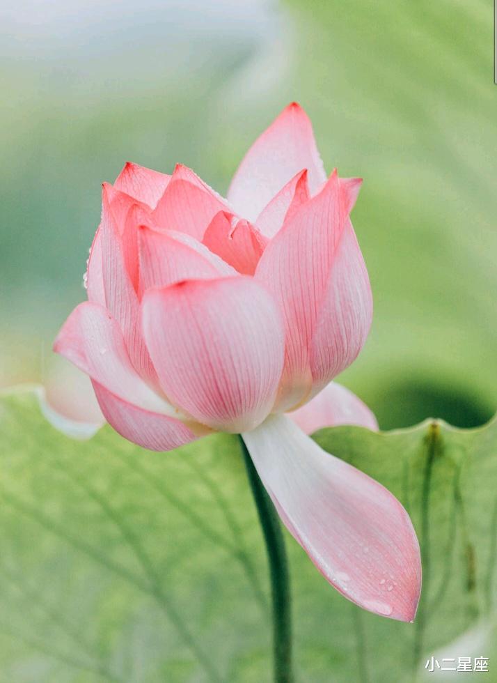 小二星座 12星座想分手的征兆，干脆离开还是勉强将就？这是一个问题！