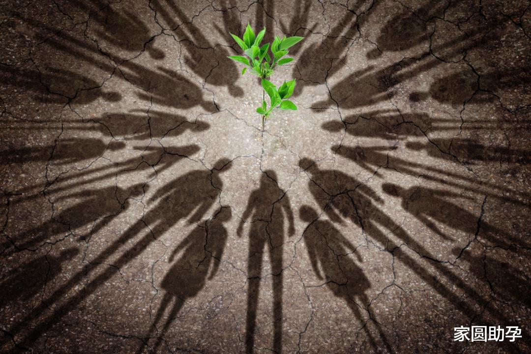 家圆助孕|中美气候特使将要开展面对面对话！网友：打算当面劝我们少吃肉？