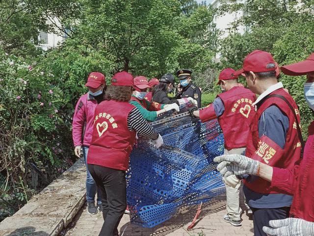 中国山东网 青岛市北区浮山新区街道开启城区“美颜”常态化模式