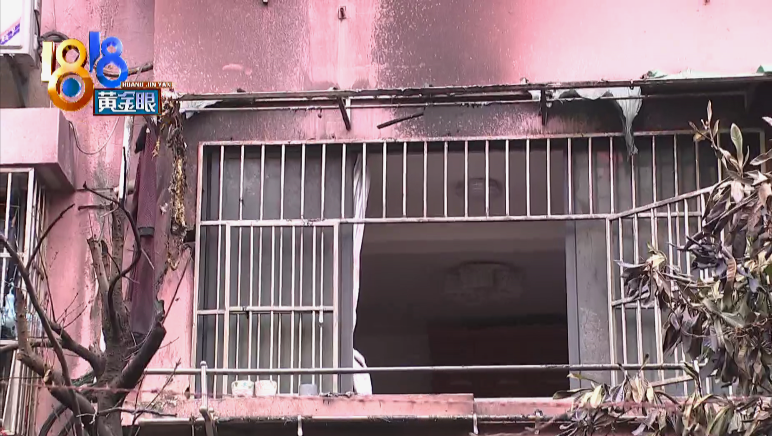 半岛晨报 大伯怎么都不听劝,大家担心的事终于发生了