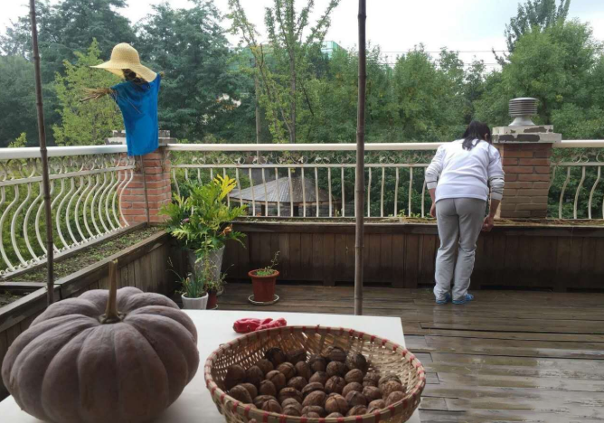 十万个家居为什么|50岁尔康周杰现状：走红后选择归隐，回乡村开农场，过着农夫生活