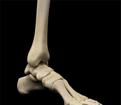 人类本应有206块骨头,为何中国人少两块?专家:有个部位不一样