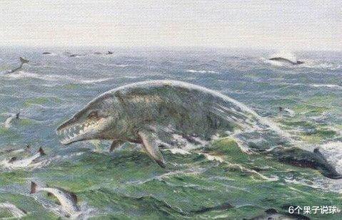 太空垃圾|远古浅海的主宰，龙王鲸。