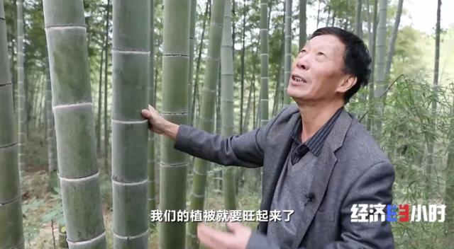 空气也能抵押贷款?真的!六旬老人从银行贷了37万余元:“这辈子真是头一次听说”