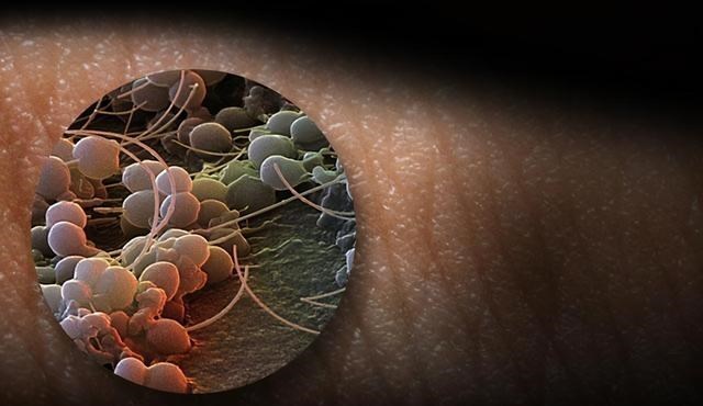 太空 科学家猜测，地球可能是一个“活着的生物”，人类则是“细菌”？