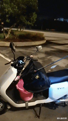 |男子晚上外出钓鱼，一条蛇跟上了车，路上蛇突然探出来吐舌头