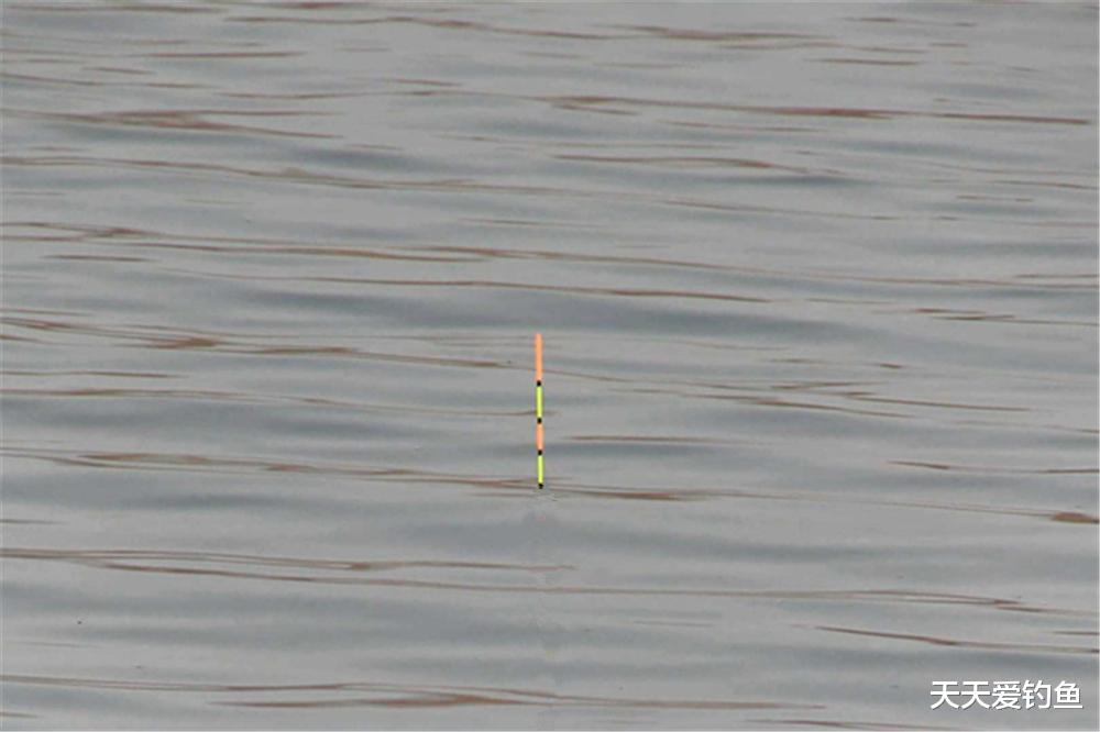 饵料|钓鱼技巧：盛夏刮风鱼好钓，大风天气钓鱼，调漂、用饵和看漂经验