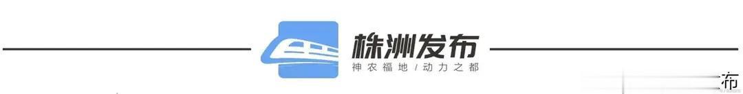 株洲发布 何梁何利基金高峰论坛在株举行