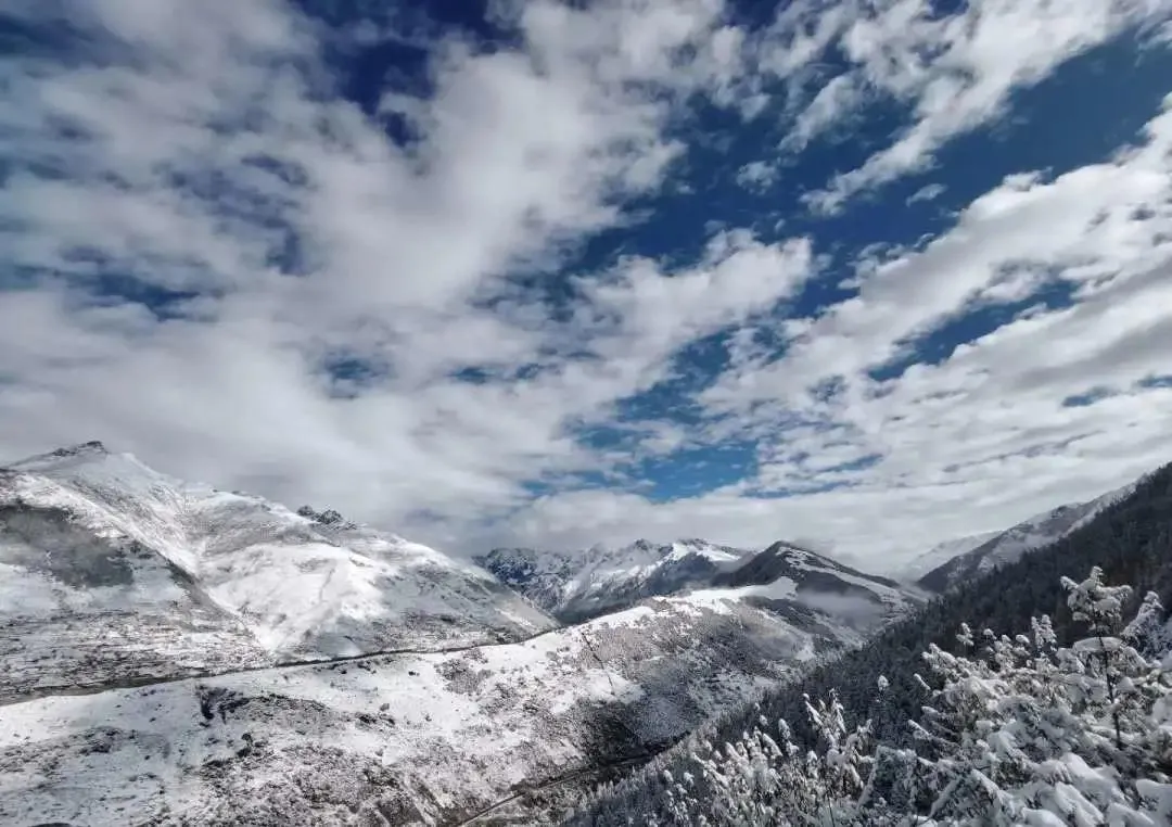四姑娘山 【阿坝旅游网】好家伙！又下雪了！