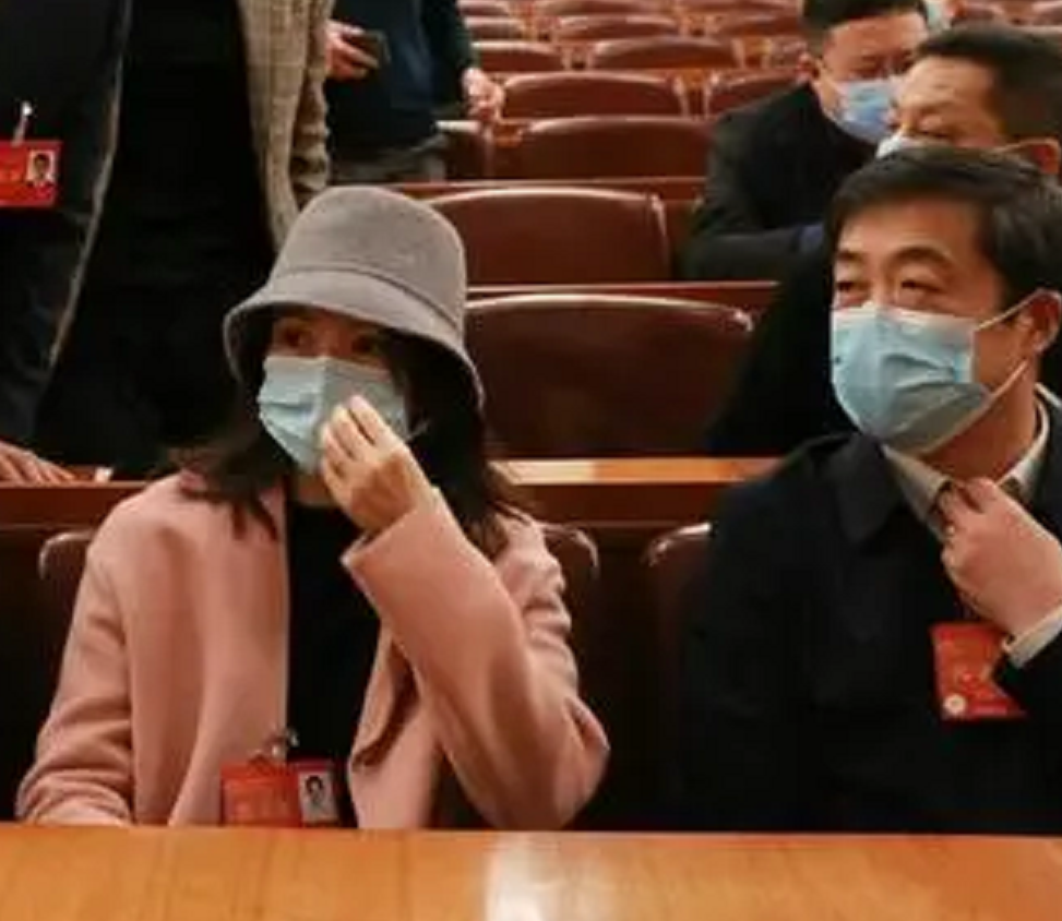 章子怡|章子怡绝美证件照太有央视范！穿藕粉大衣超温柔，海霞都变小迷妹