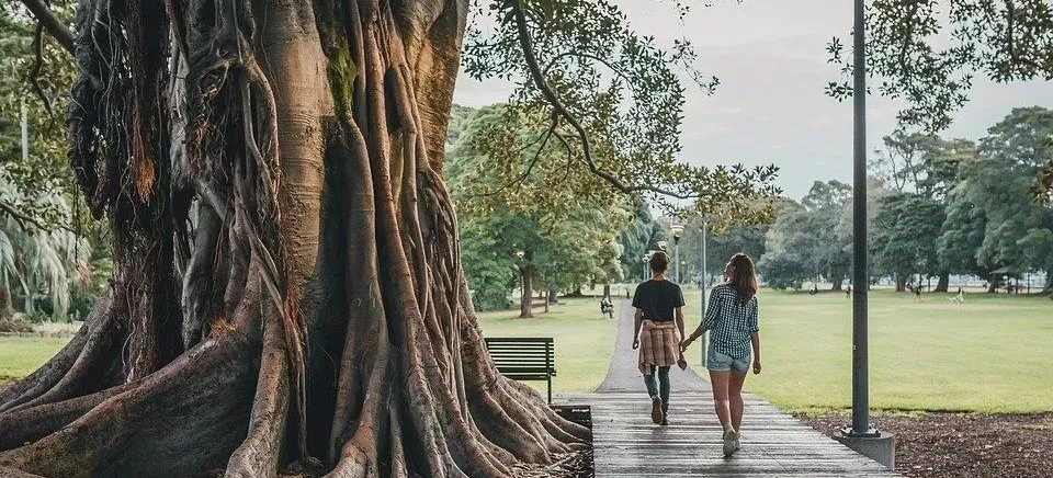 西安圣心安诺心理咨询|你不催我好起来，我们还能做朋友