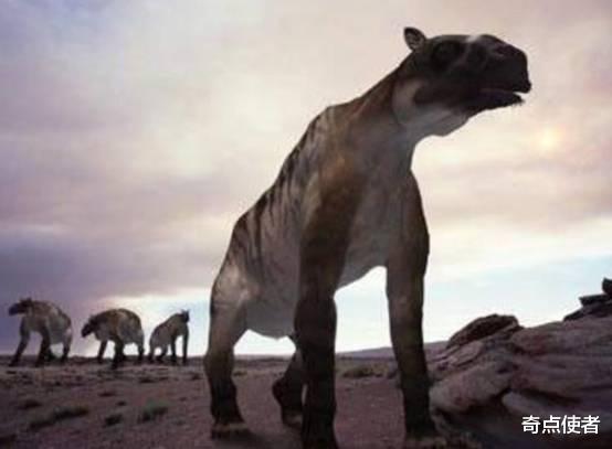 神农架存在大量“未知生物”？多人称看到了驴头狼，是真是假？