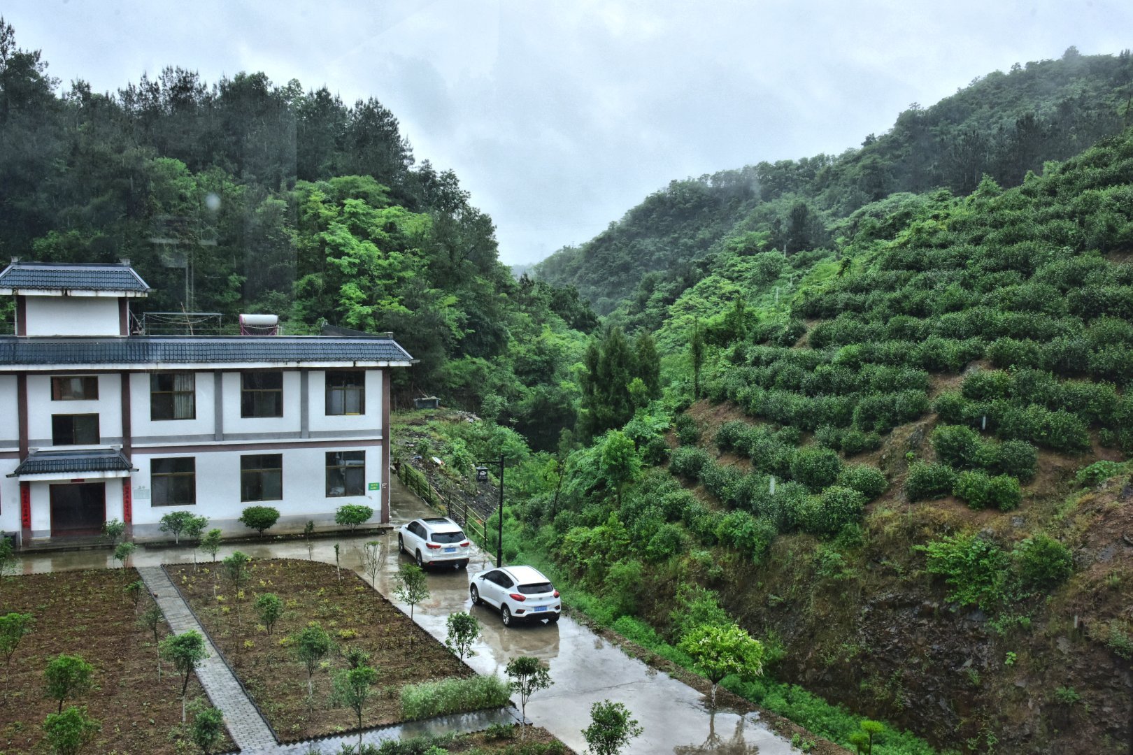 陕西微资讯 陕西商南：三代茶人接力提品质、树品牌、拓市场创出北纬33°奇迹