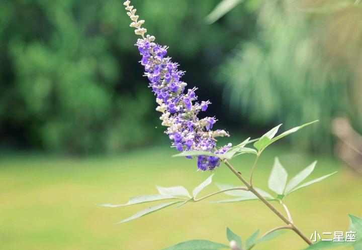 小二星座 12星座想分手的征兆，干脆离开还是勉强将就？这是一个问题！