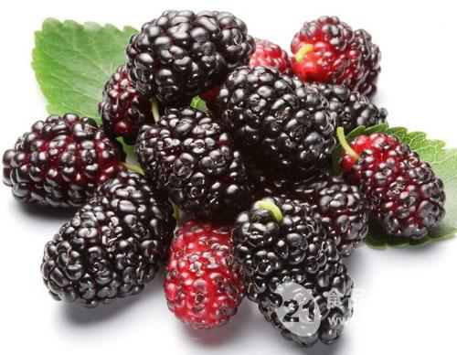 爱吃醋的小蓝孩儿|桑果的作用与功效-吃桑果的好处