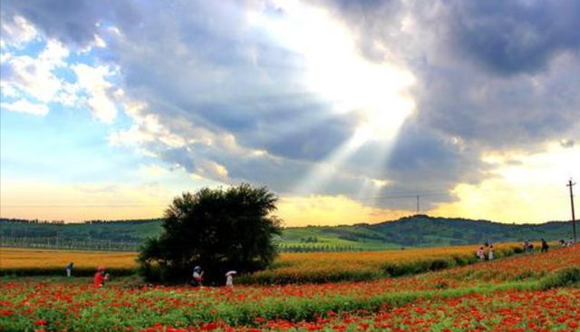 育儿心课堂|吉林“文旅项目”未开先火,占地约40平方公里,有望成新地标