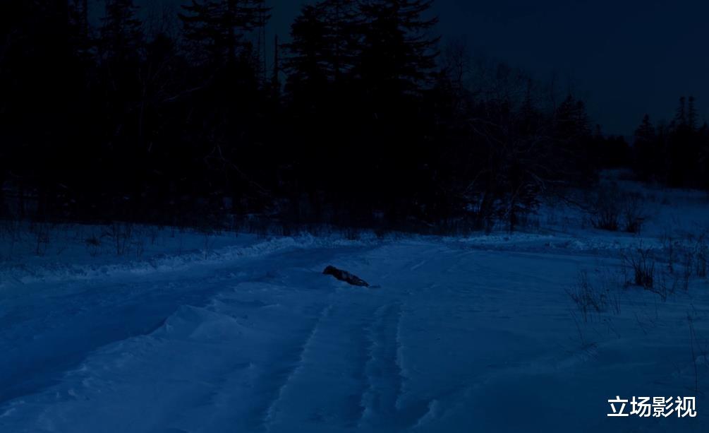 段奕宏|段奕宏新剧《双探》开播，国产剧要是都这么拍，早就赶超美剧了！