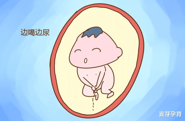 喜芽孕育|深居“宫”中，胎宝宝每天都在干什么
