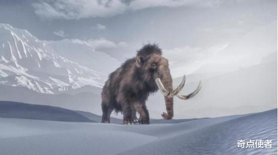 猛犸象 史前生物来了！美科学家将复活猛犸象，并在北极放生，是好是坏？