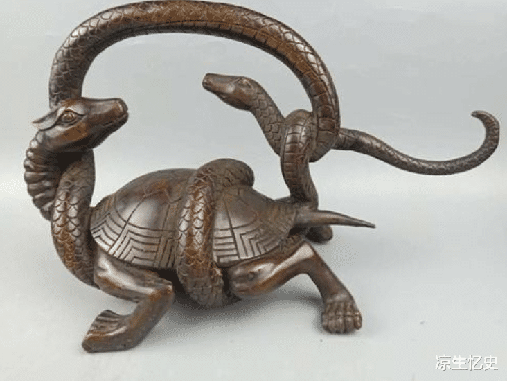 河南|河南老人钓到一只“乌龟”，龟背插4箭，专家乐了：这龟价值不菲