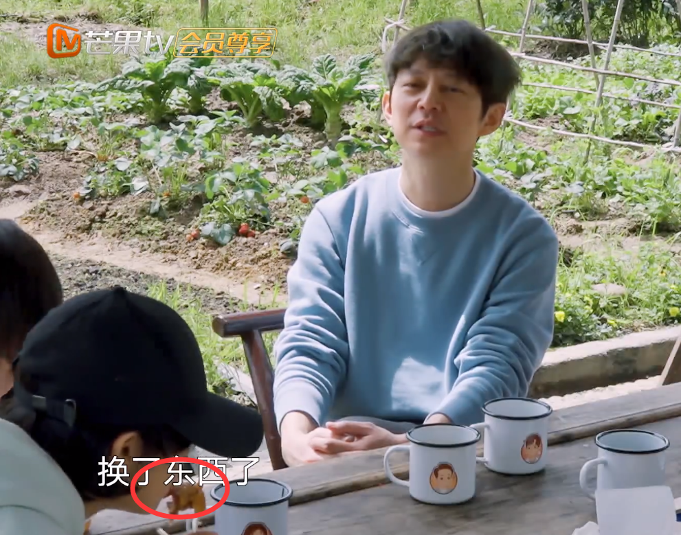 黄磊|《向往5》黄磊划水？做的早饭不够吃，彭昱畅张子枫吃盒饭镜头被拍