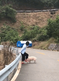 acgn漫评|“河里捡的石头，样子像极了化石...”感觉评论在骗我！