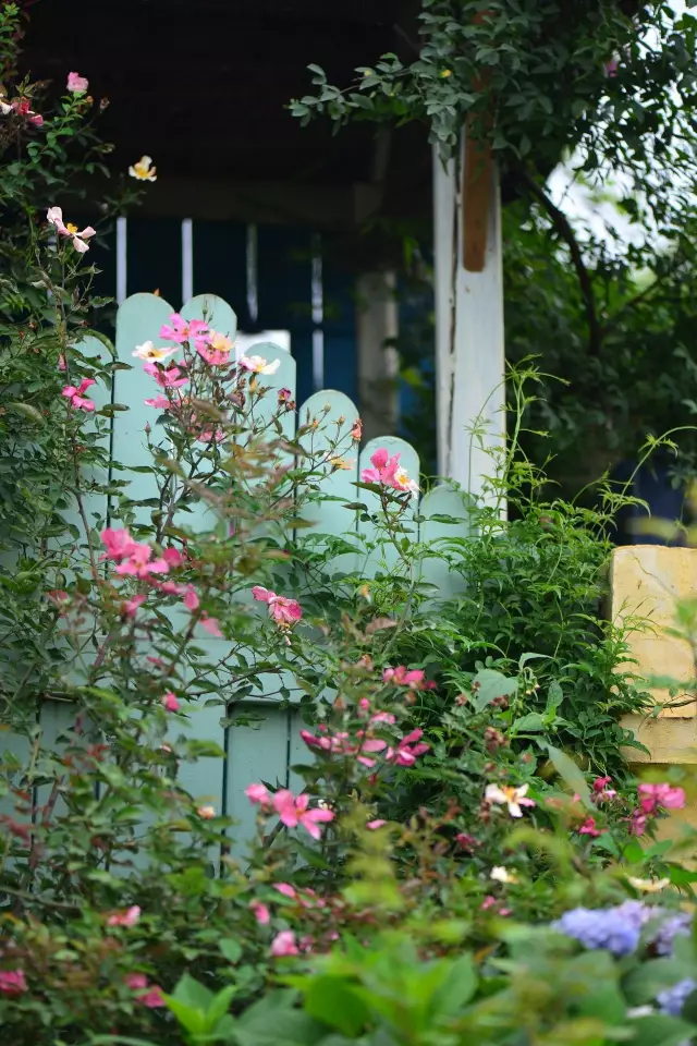 他建了座2亩的鲜花小院,满足你对花园的所有幻想!