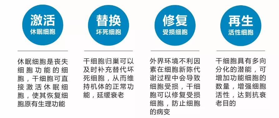 杭吉泰迪干细胞|日夜操劳的你是否也处于亚健康?干细胞疗法改善亚健康!还你健康活力新生命!