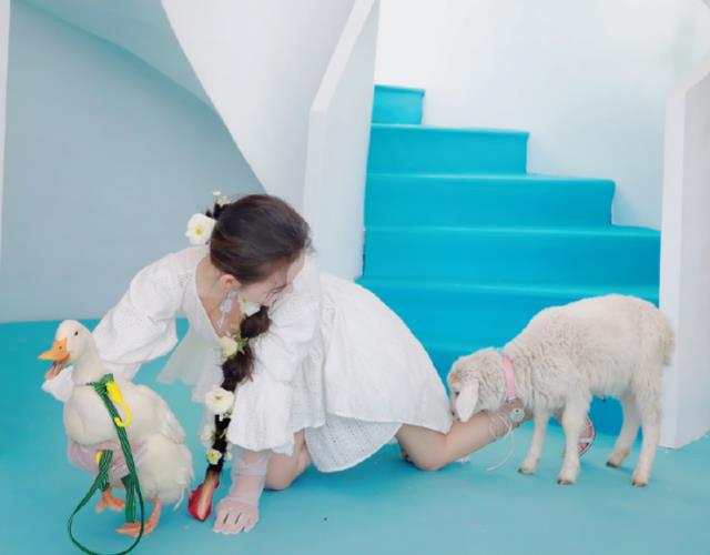 蒋依依|蒋依依和动物拍照，被小绵羊咬腿时看清她啥反应，这胆子是真大