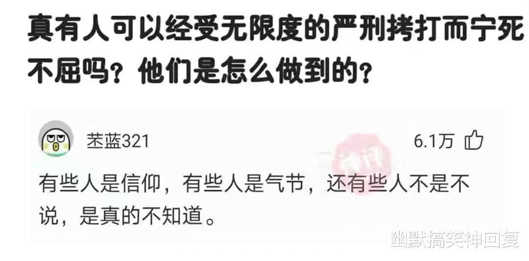幽默搞笑神回复|神回复：“谁可以在严刑拷打下不屈服？你可以？”网友：我不行！