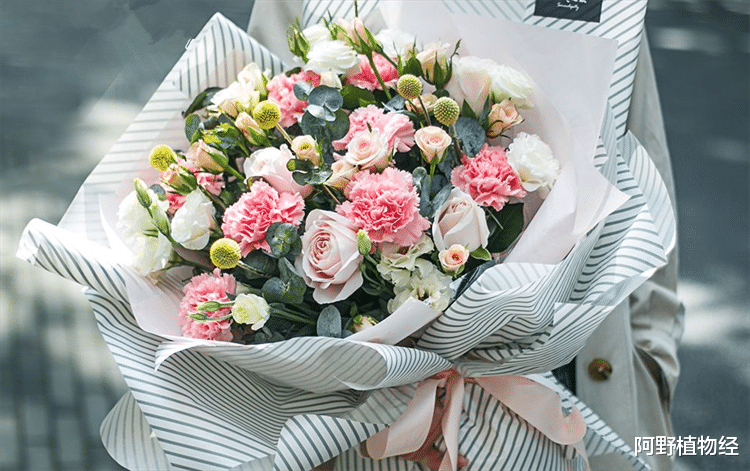 看望病人送什么花好?有4个方面需要考虑周全,这样才会送到心上